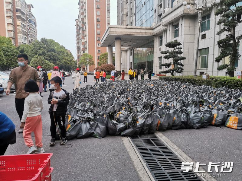 780份蔬菜包送到了湘林小區(qū)院內(nèi)。長沙晚報實習(xí)生 羅楊 攝